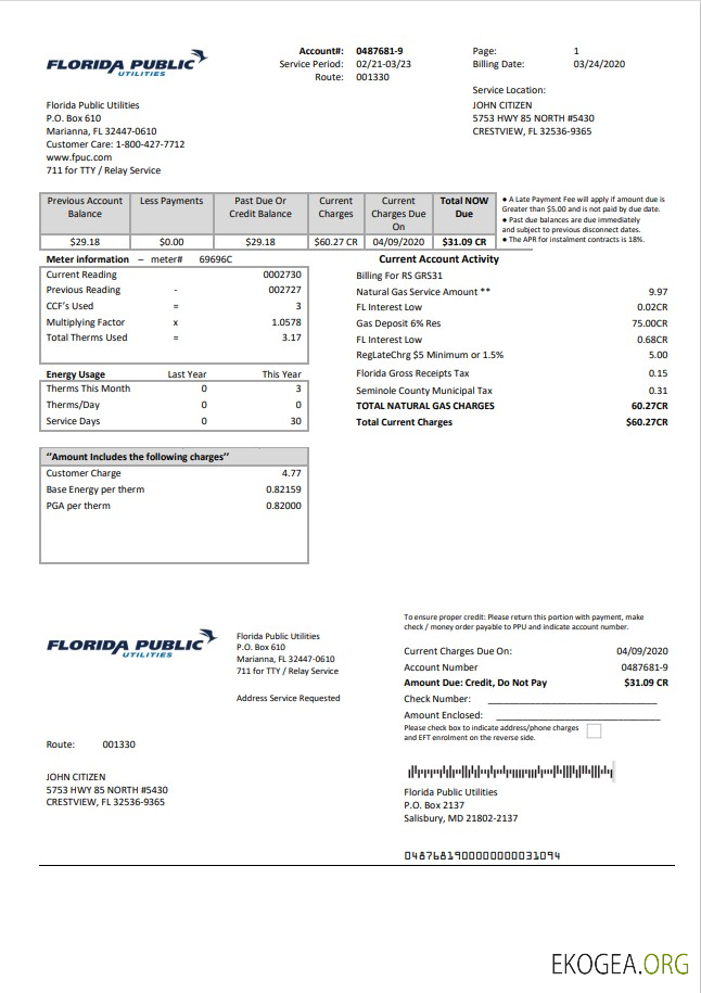 USA Florida Public Utilities utility bill template in Word and PDF format